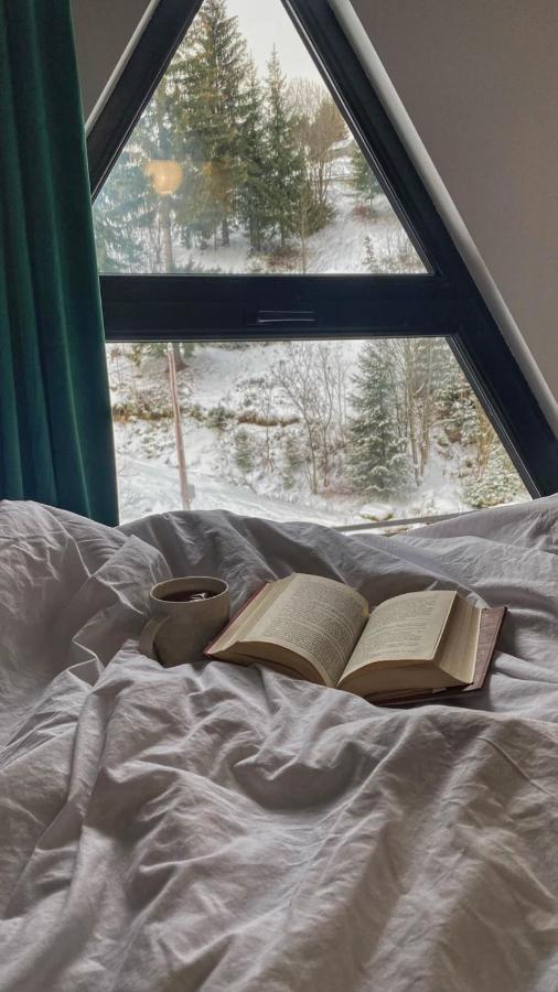 Holiday home Hill Borsa (Maramures)