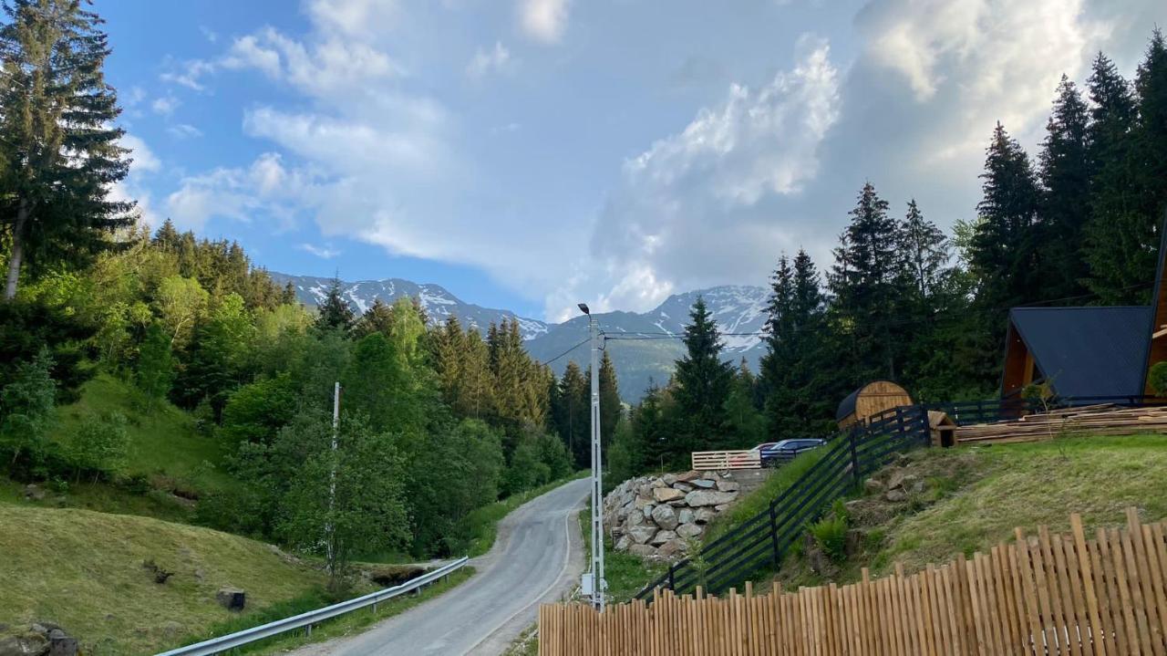 Holiday home Hill Borsa (Maramures)