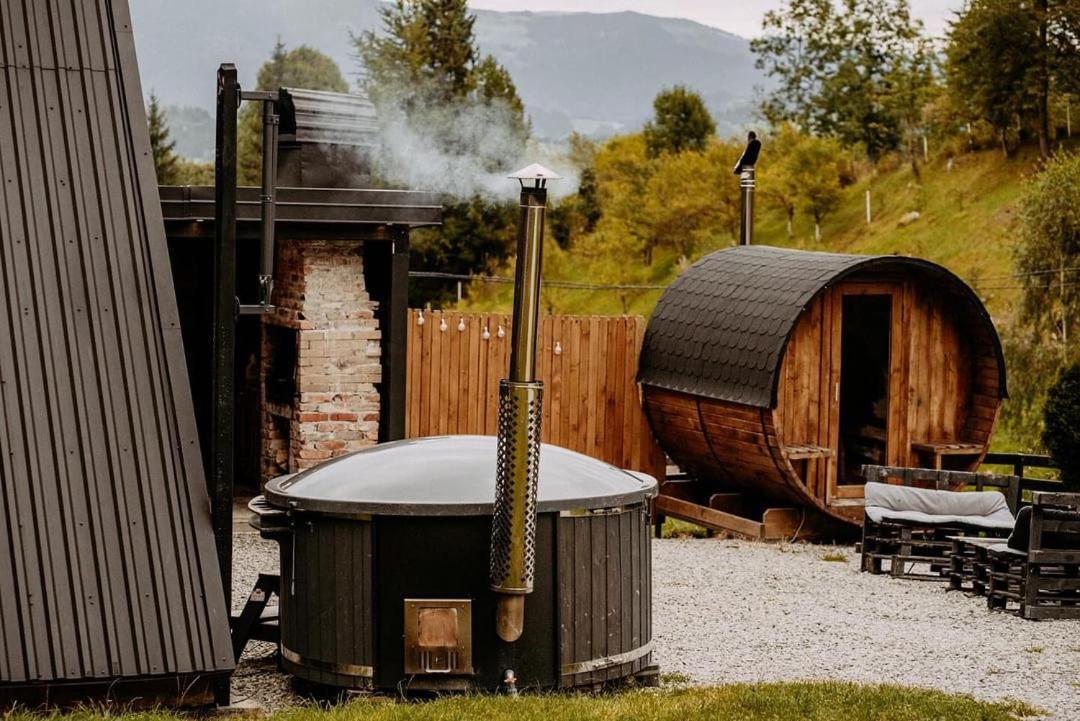 Holiday home Hill Borsa (Maramures)
